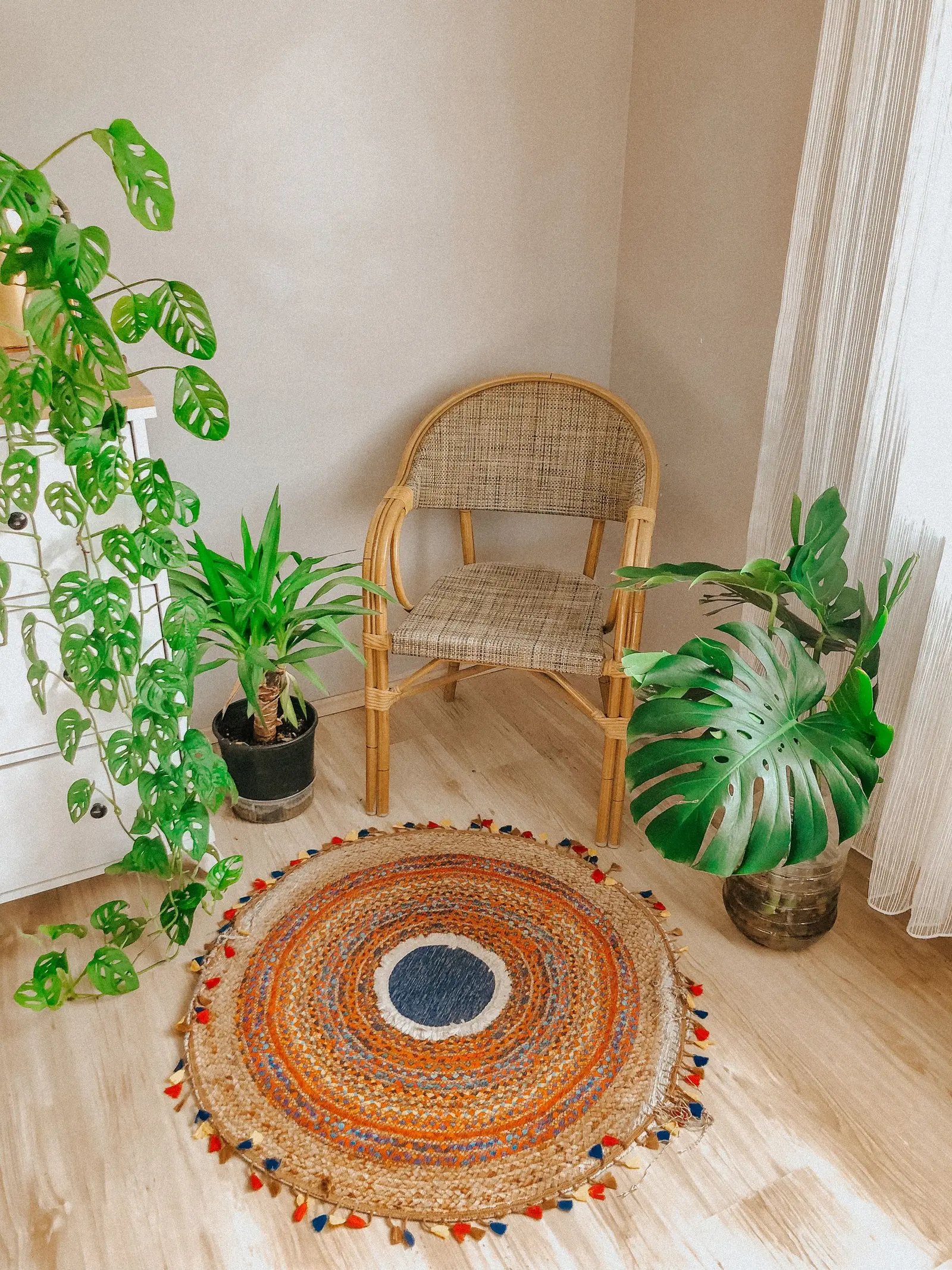A cozy corner with a woven chair, house plants, and a colorful rug for a serene ambiance.