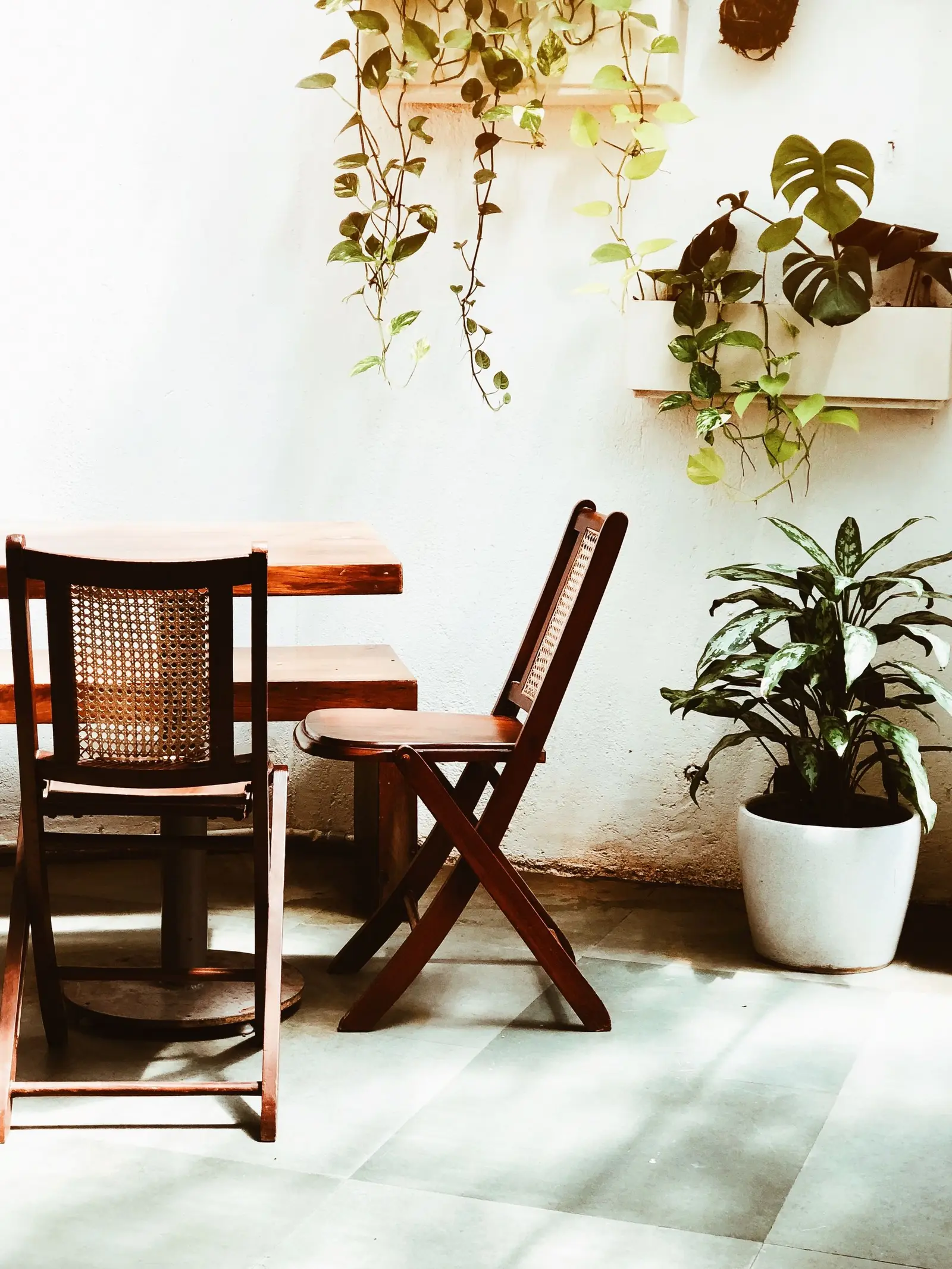 Cozy indoor setting featuring wooden furniture and hanging plants, perfect for a relaxing atmosphere.