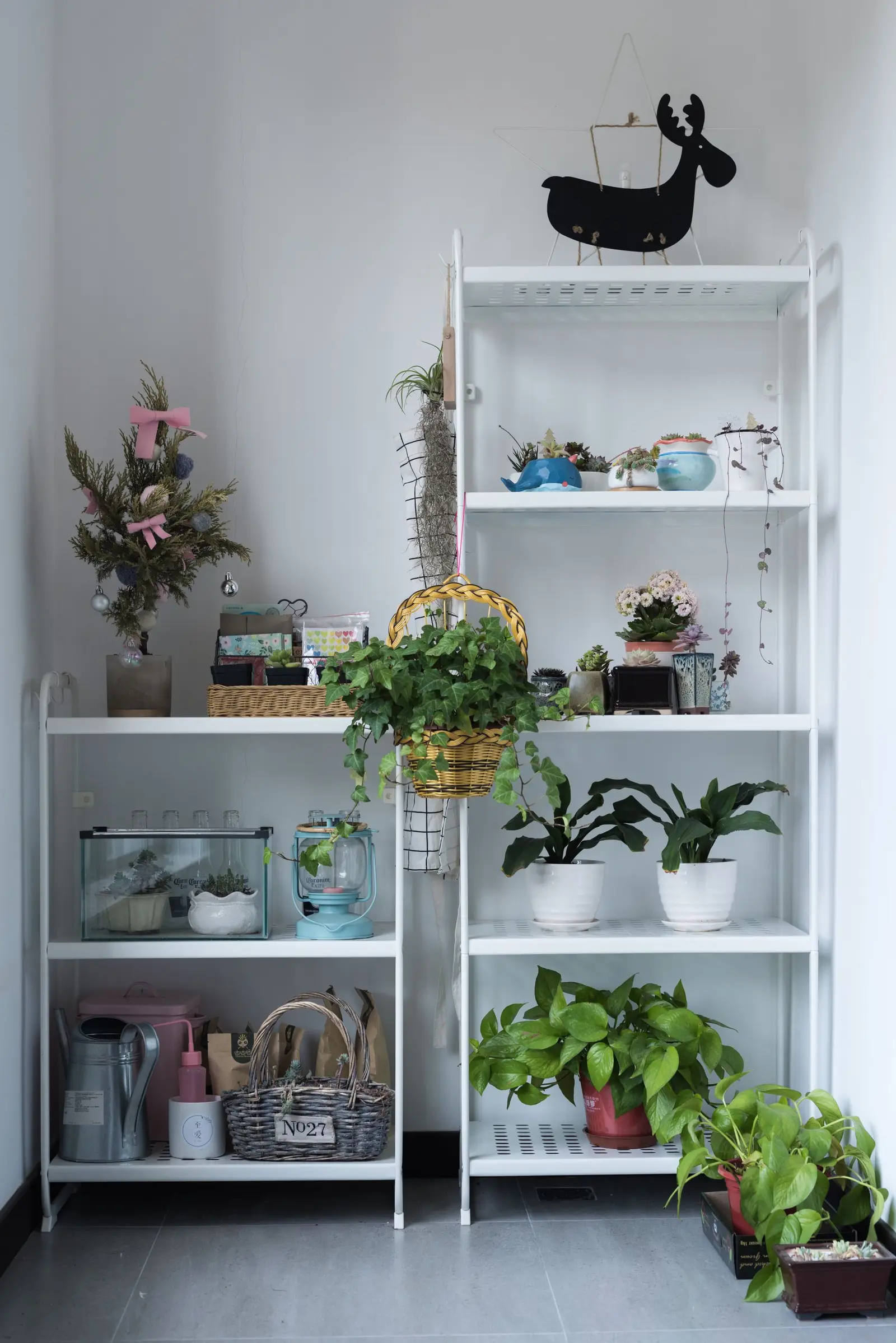 A stylish indoor shelf with various plants and decor items, showcasing a modern home interior design.