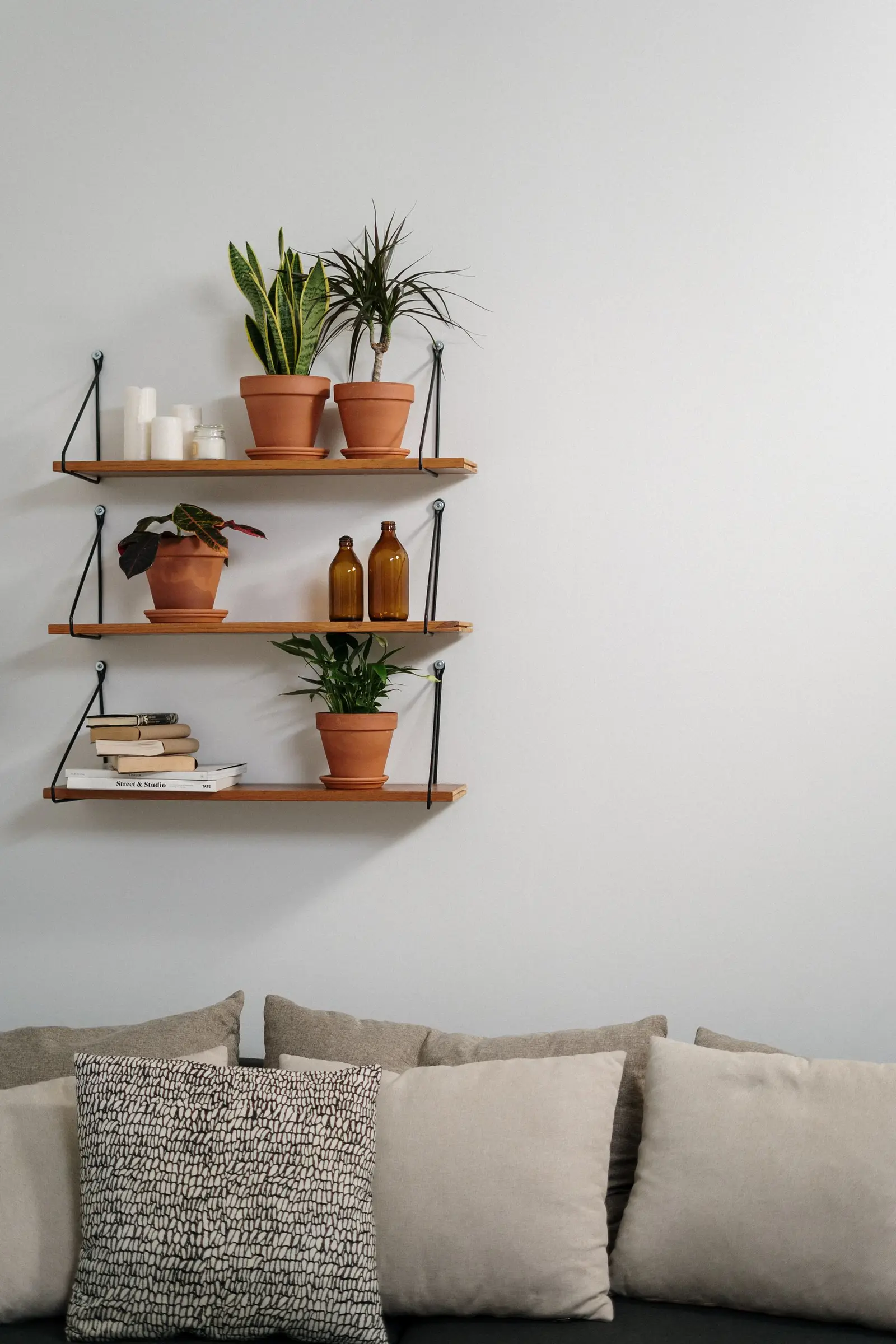 Elegant minimalist interior featuring wooden shelves with potted plants and cozy pillows.